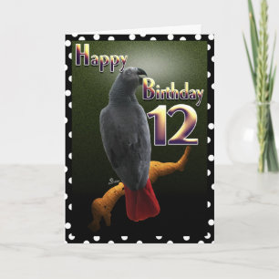Parrot African Grått /grått Lycklig 12 Birthday Av Kort