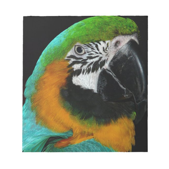 Parrot Anteckningsblock (Framsida)