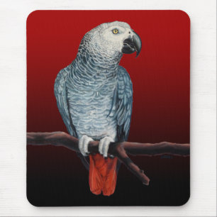 Parrot Art Mousepad African Grått Parrot Gifts Musmatta