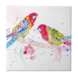 Parrot art Watercolor Painting Aqua Teal Kakelplatta