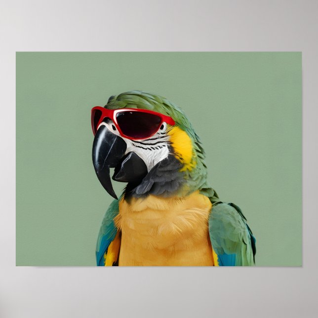 Parrot av party i rödglasögon poster (Framsidan)