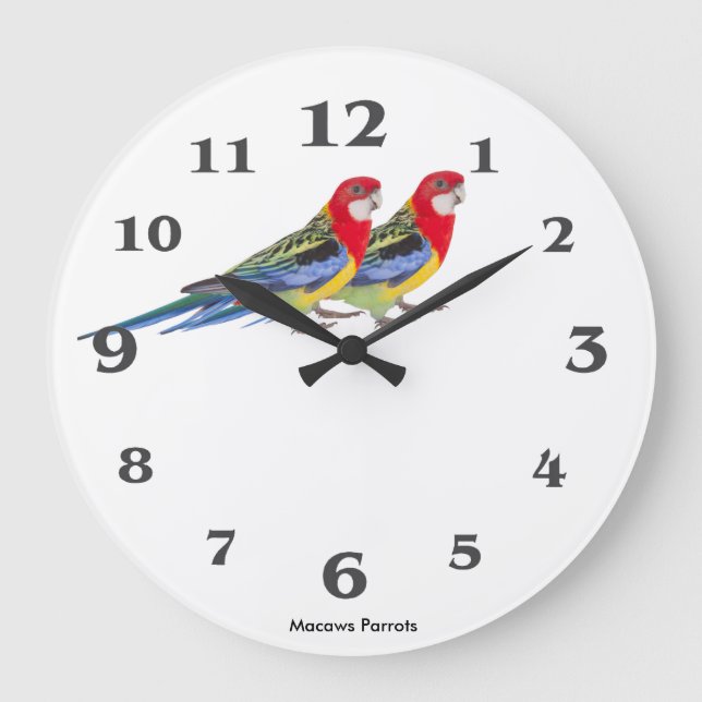 Parrot-bild för rund (stor) väggklocka (Framsida)