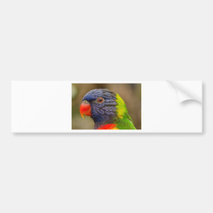 Parrot Bildekal