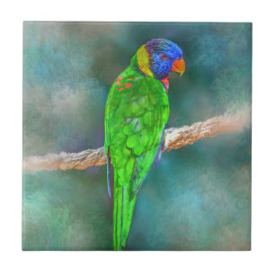 Parrot Bird 80 Kakelplatta