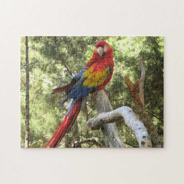 Parrot Bird Tropical Colorful Pussel (Horisontell)