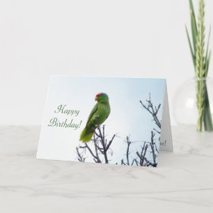 Parrot Birthday-kort Kort