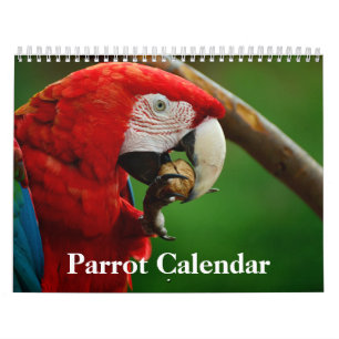 Parrot Calendar Kalender