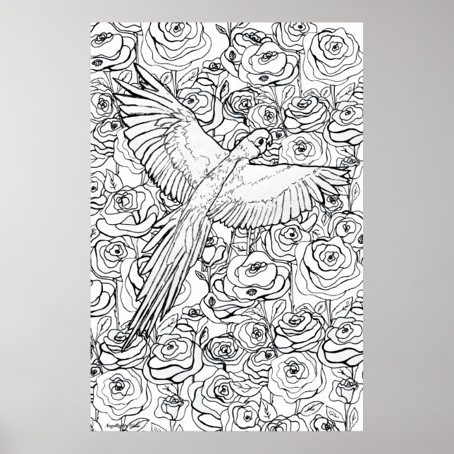 Parrot Clarity Poster (Framsidan)