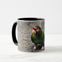 Parrot Coffee Mugg