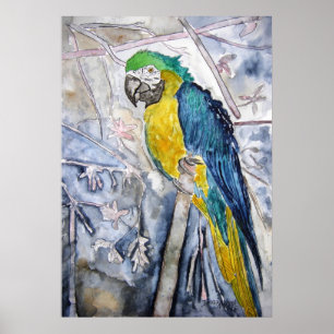 parrot_fågelmålning poster