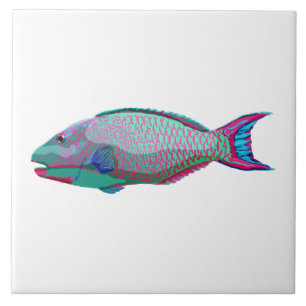 Parrot Fish Kakelplatta