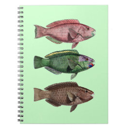 Parrot Fish Notebook Anteckningsbok