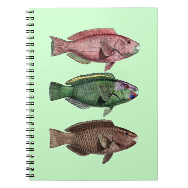 Parrot Fish Notebook Anteckningsbok (Framsidan)