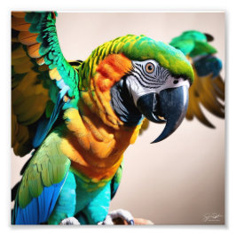 Parrot Fototryck