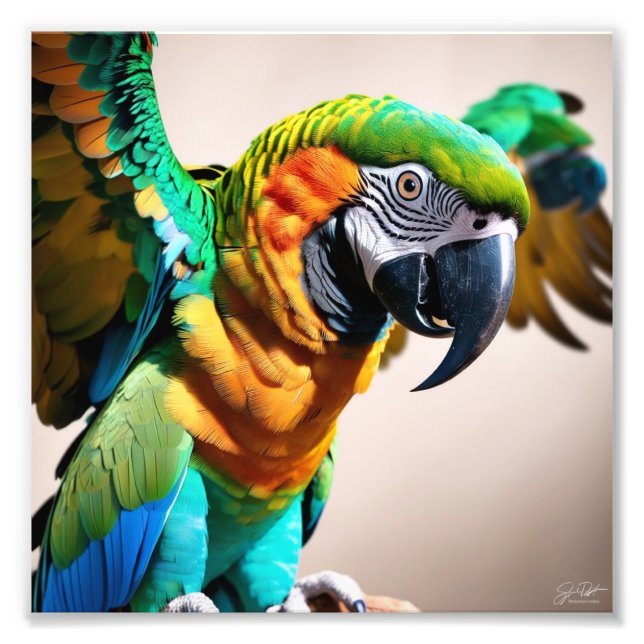Parrot Fototryck (Framsidan)