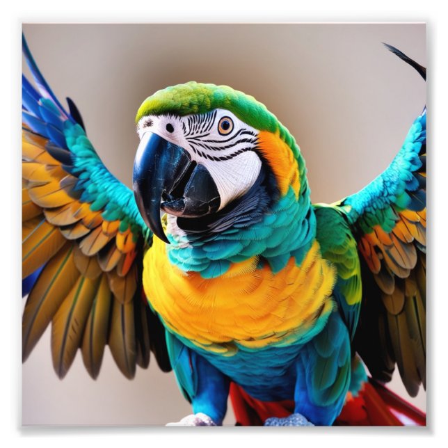 Parrot Fototryck (Framsidan)