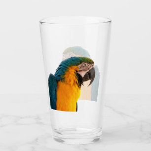 Parrot Glaskopp