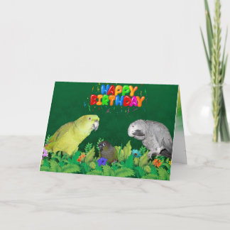 Parrot-Grattis på födelsedagen-kort Kort
