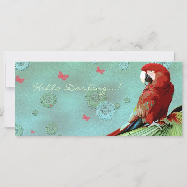 PARROT ~ Greeting Card/Postcard (Framsida)