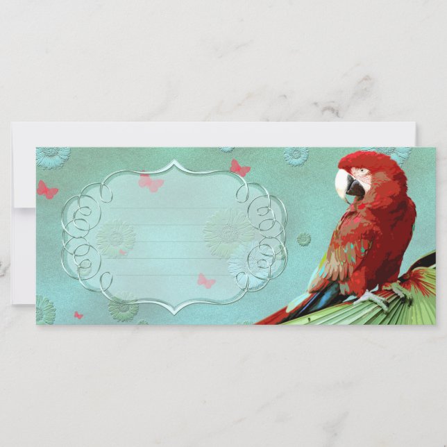 PARROT ~ Greeting Card/Postcard (Framsida)