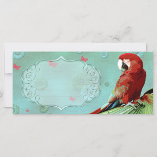 PARROT ~ Greeting Card/Postcard