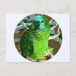 Parrot Grönt Vykort