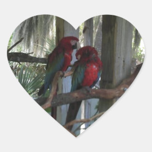 Parrot Hjärtformat Klistermärke