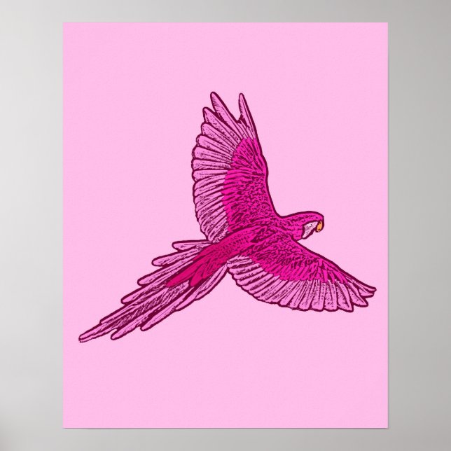 Parrot i Flight, Fuchsia och Ices Rosa Poster (Framsidan)