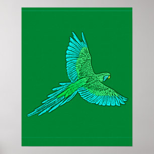 Parrot i flyg, Jade-Grönt och turkos Poster