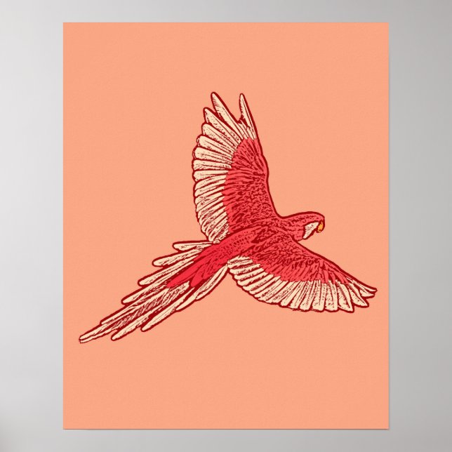 Parrot i flyg, korall Orange och Cream Poster (Framsidan)