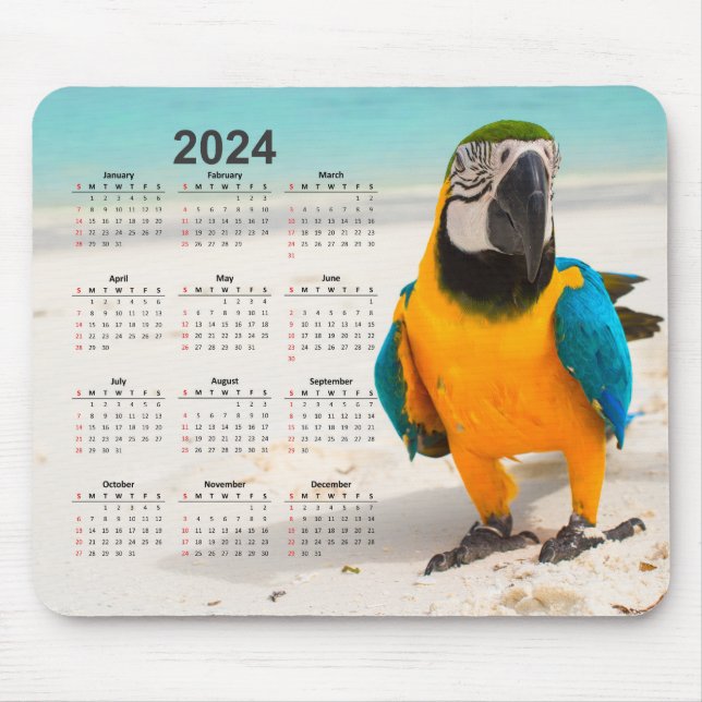 Parrot i kalendern Sand 2024 Musmatta (Framsidan)