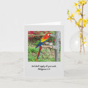 Parrot-inspirationskort Kort