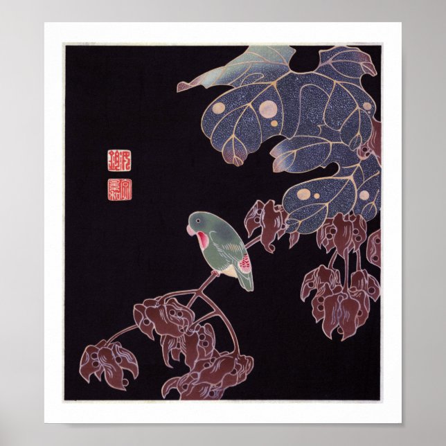 Parrot, Jakuchū Poster (Framsidan)