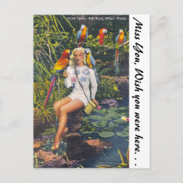 Parrot Jungle, Miami, Florida Vykort