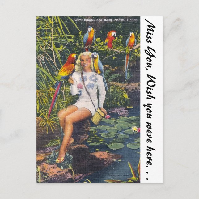 Parrot Jungle, Miami, Florida Vykort (Framsida)