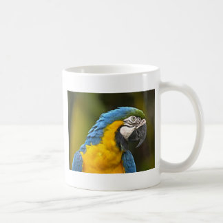 Parrot Kaffemugg