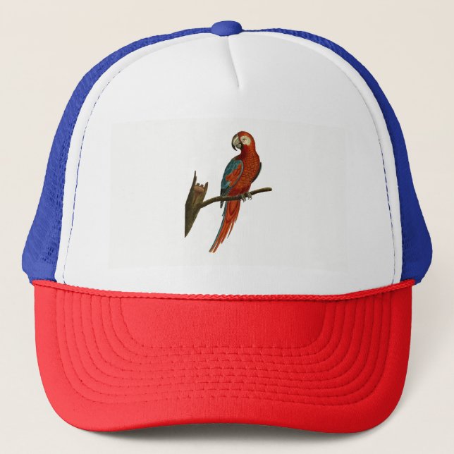 Parrot Keps (Framsida)