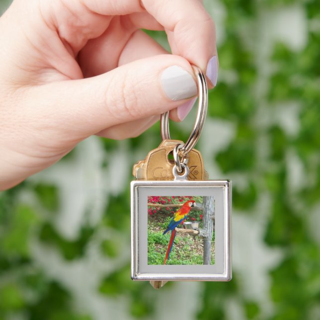 Parrot Keychain Fyrkantig Silverfärgad Nyckelring (Hand)