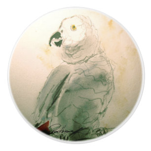 Parrot. . . knopp