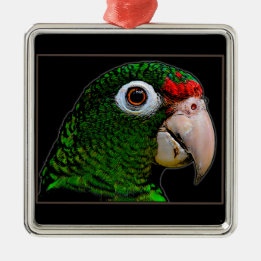 Parrot / La Cotorra Julgransprydnad Metall