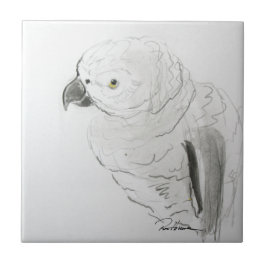 Parrot Listening Closed . . . Kakelplatta