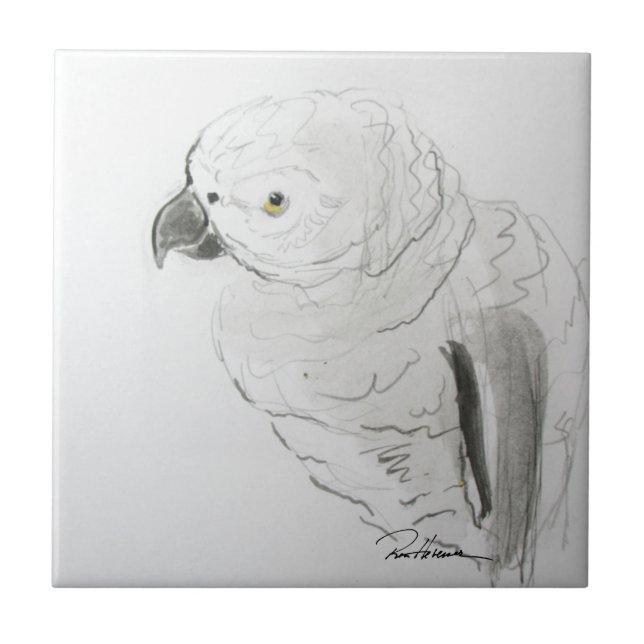 Parrot Listening Closed . . . Kakelplatta (Framsidan)