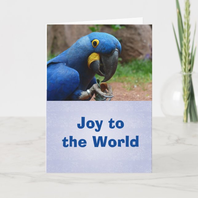 Parrot Lycklig Helgdag Card, kuvert medföljer Helgkort (Framsida)
