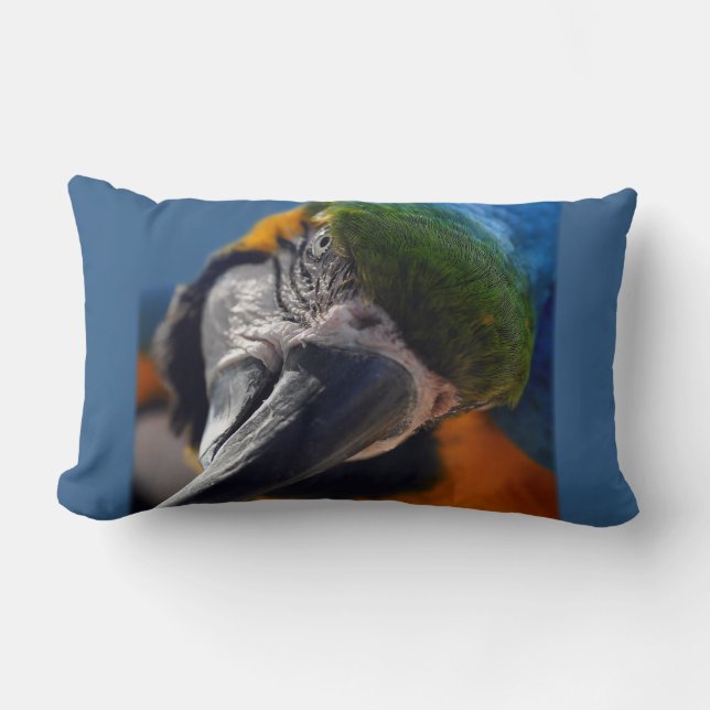 Parrot Macaw Bird Decorative Dekorativ kudde (Framsida)