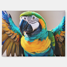 Parrot Magnet