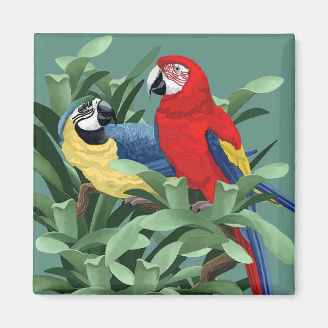 Parrot Magnets Magnet (Framsidan)