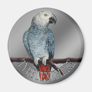 Parrot Magnets Personalize African Grått Magnet
