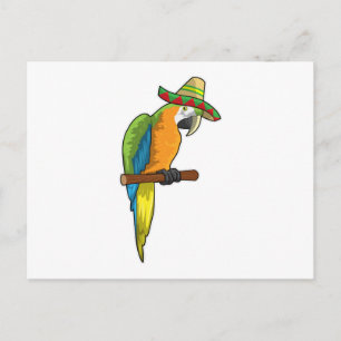 Parrot med straw hat vykort
