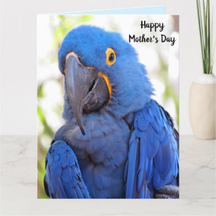 Parrot-Mors dag-medföljande stort hälsningskort Kort