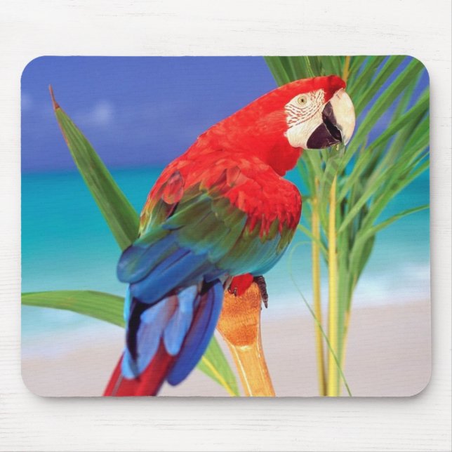 Parrot Mouse Pad Musmatta (Framsidan)